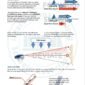 ISSA PDF Handbook page displaying diagrams and information about tides including tidal streams and tidal vectors