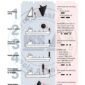 ISSA PDF Handbook page displaying diagrams and information about collision prevention whilst sailing