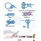 SIA-yacht-crew-pdf-manual-P4
